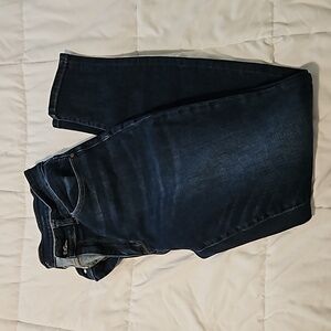 Judy Blue High Rise Skinny Jeans (tall)